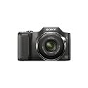 Sony Cyber-shot DSC-H20/B 10.1 MP Digital Camera with 10x Optical Zoom and Super Steady Shot Image Stabilization